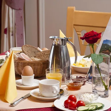 호텔 Berg-spa & Zamangspitze 4*