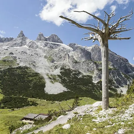 Berg-spa & Zamangspitze ホテル