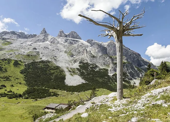 Berg-spa & Zamangspitze Hotell